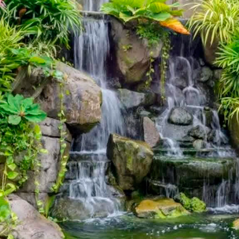 5-WATER-FEATURE-SERVICE